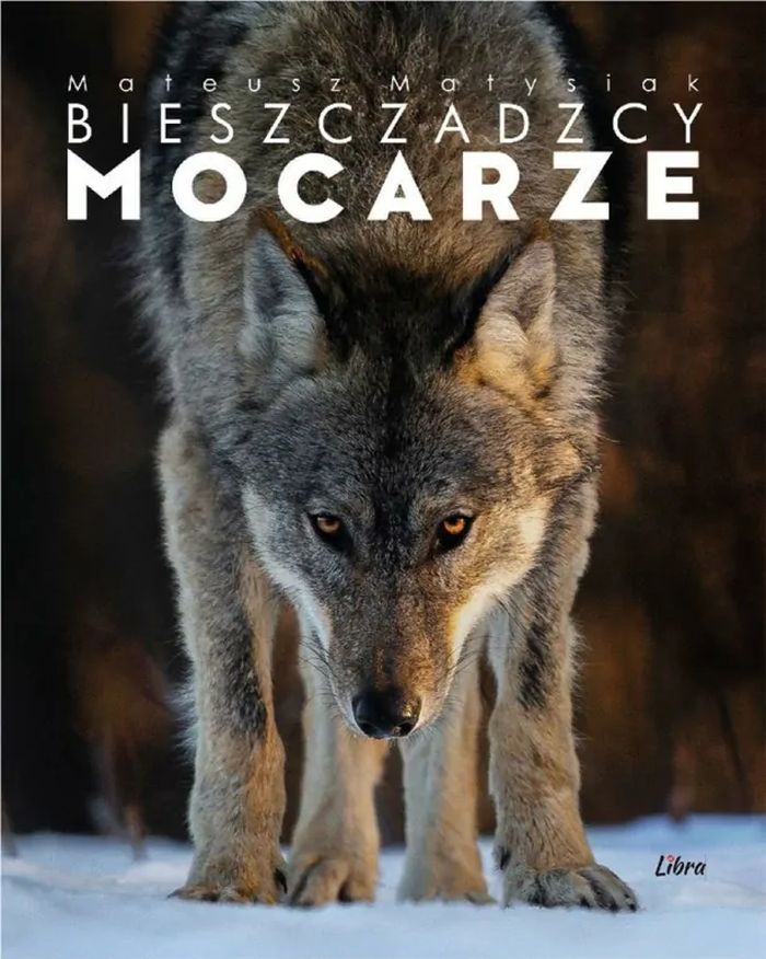 Okładka