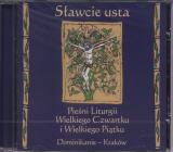 Foto 'S�awcie usta (CD)'