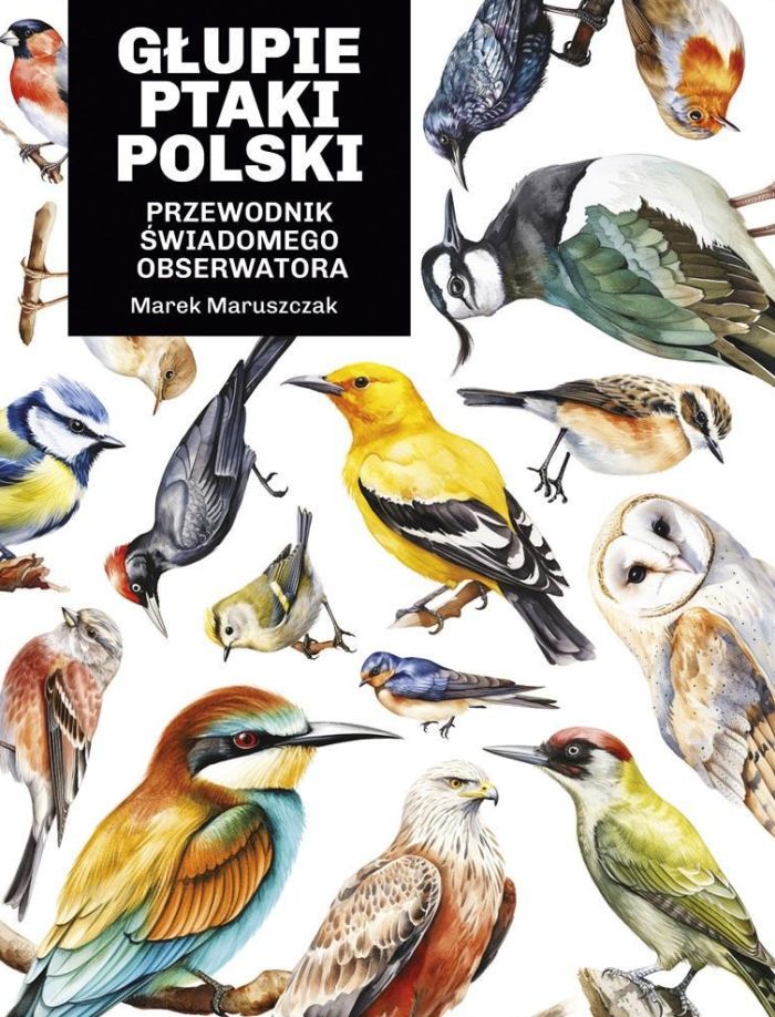 Okładka